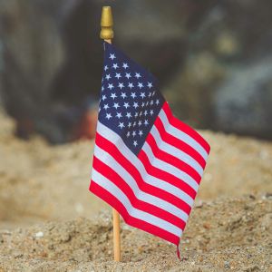 small American flag on a wooden pole stuck in sand